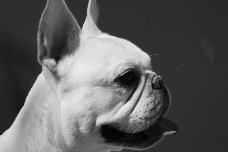 quincy right profile