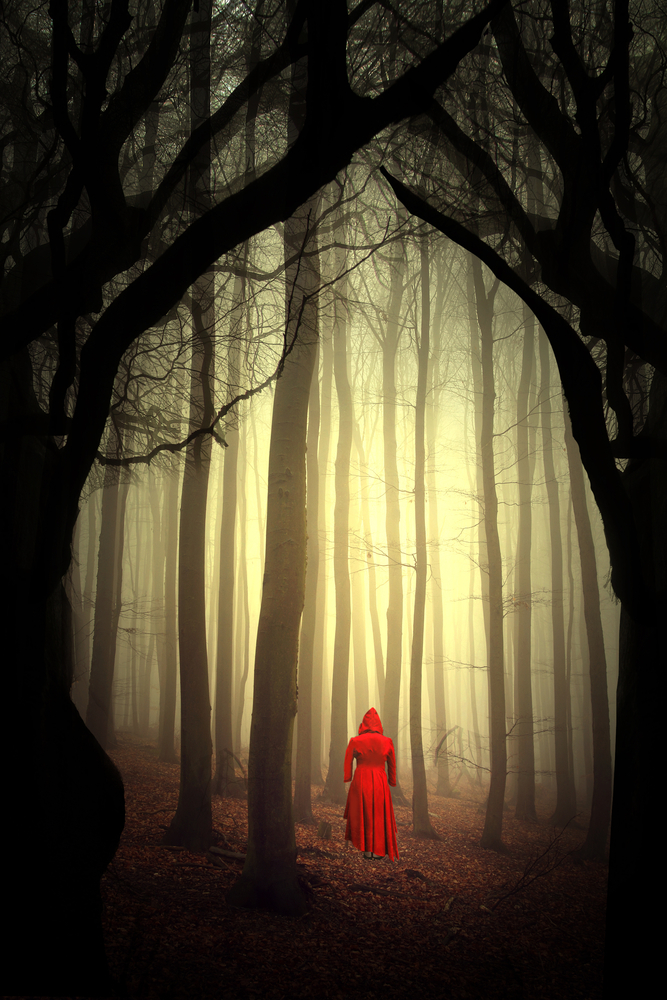 red girl in the woods