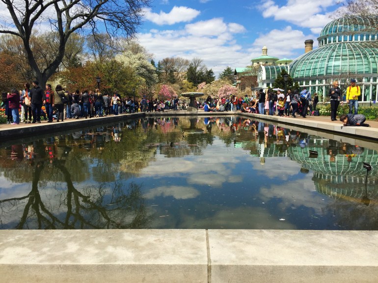 conservatory - botanic - brooklyn ny 2015