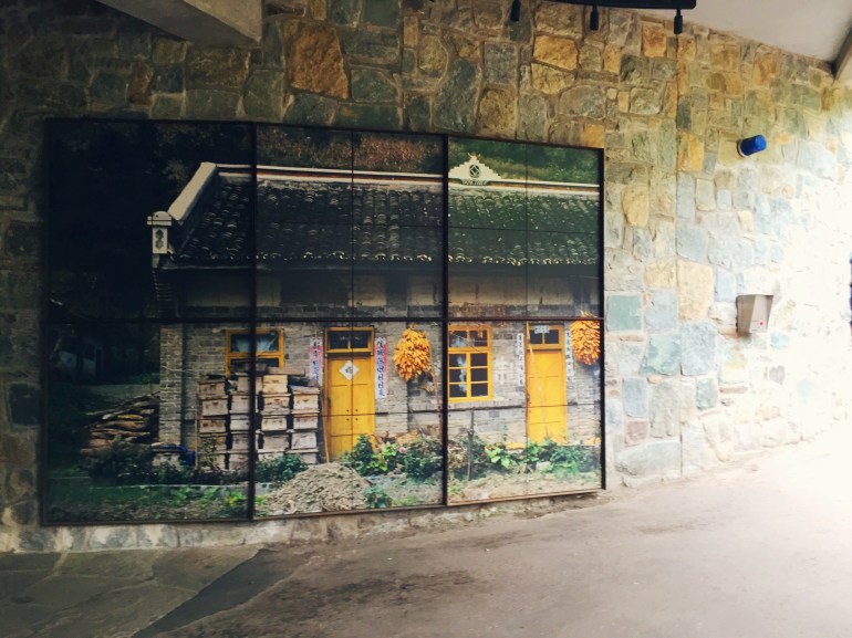 smithsonian zoo